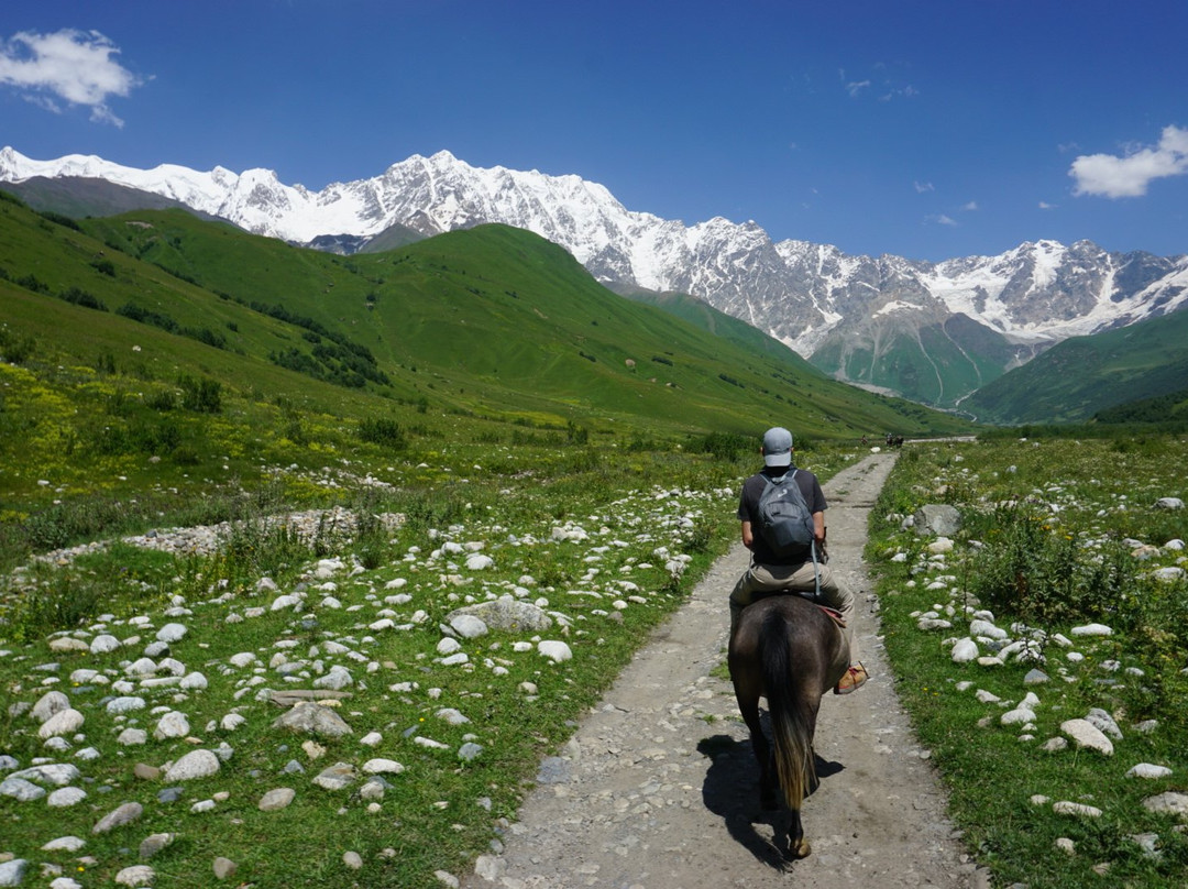 Horse Rentals in Ushguli Official景点图片