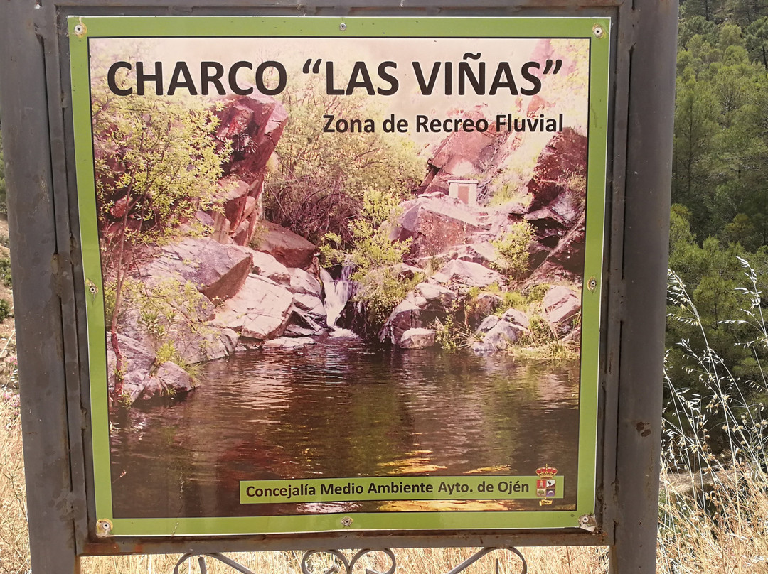 Charco de las Vinas景点图片
