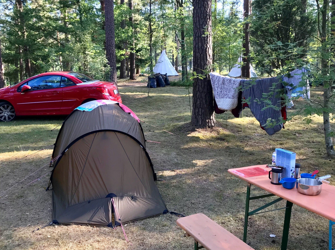 Ljungby Camping
