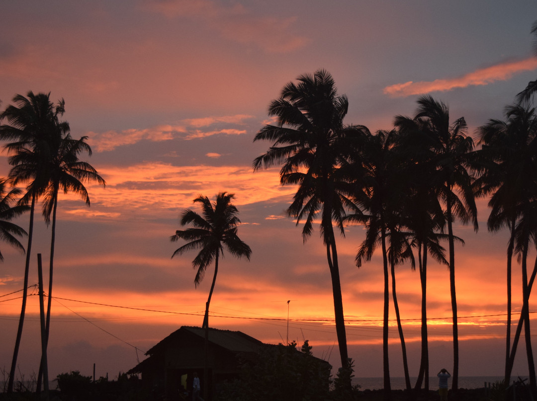 Rico Shadow Guest House and Restaurant主图