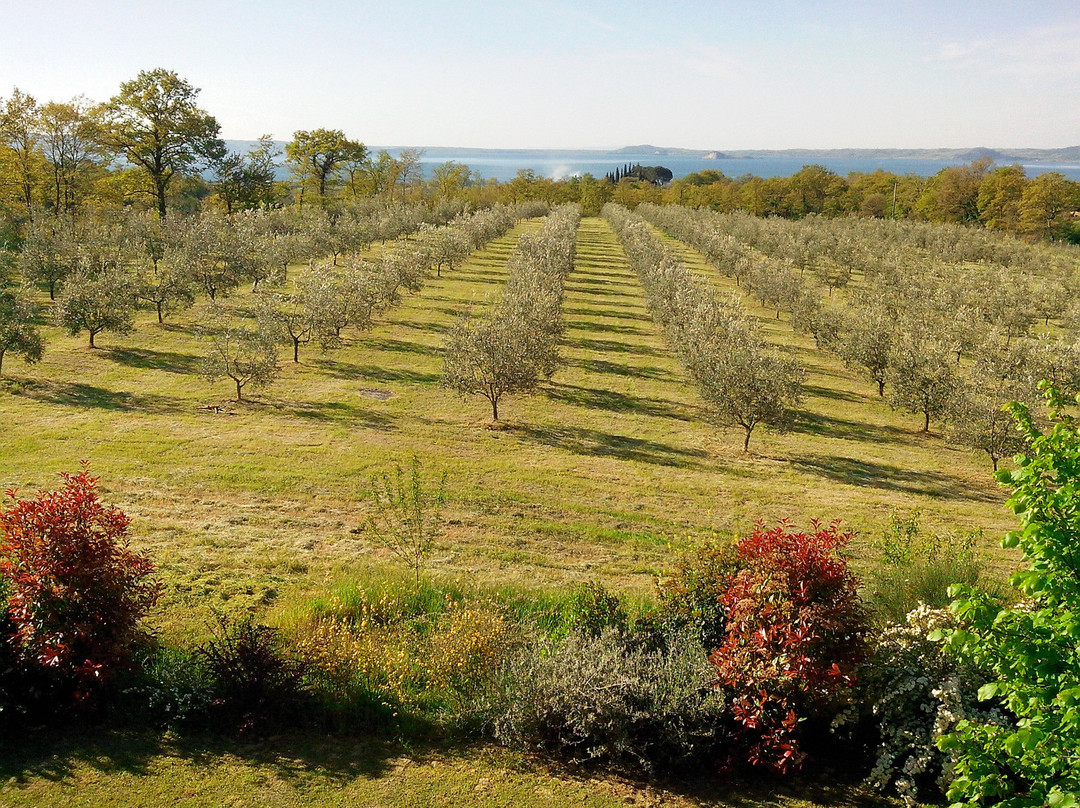 Podere San Francesco主图