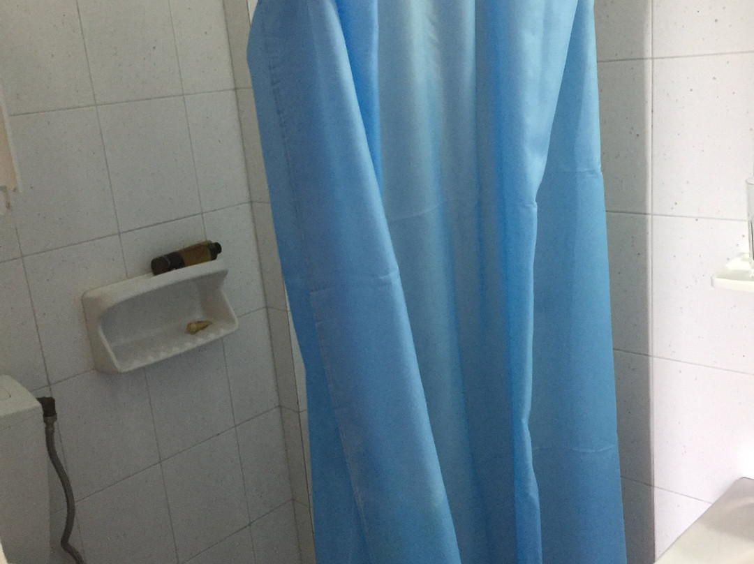 Olive Tree Hotel主图