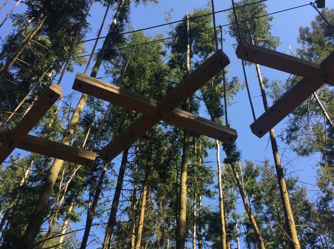 The Tunnel Tree Tops High Ropes景点图片