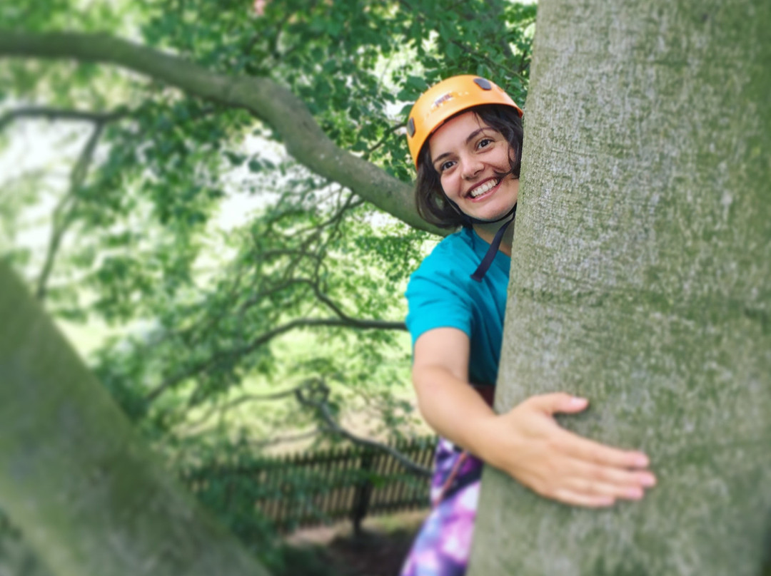 Wild Tree Adventures-斯特灵必去景点