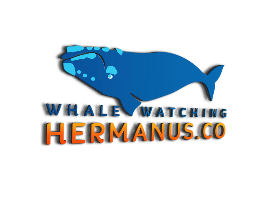 Whale Watching Hermanus景点图片