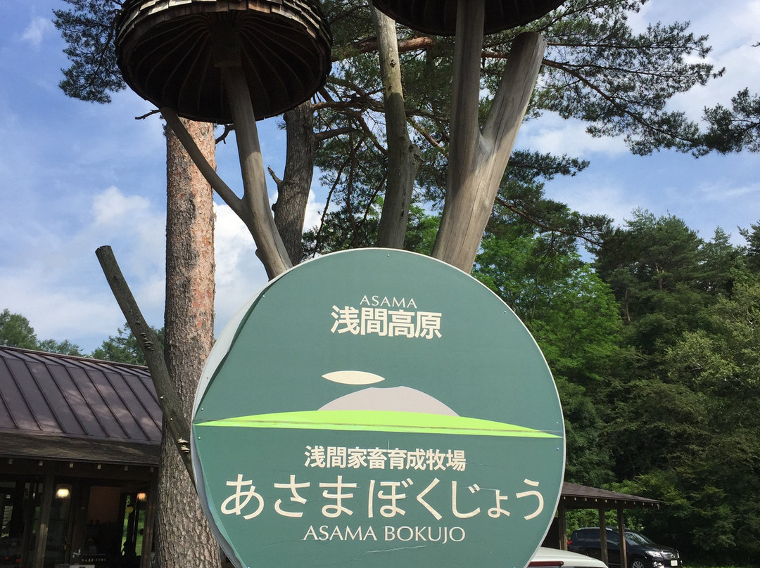 Asama Farm景点图片