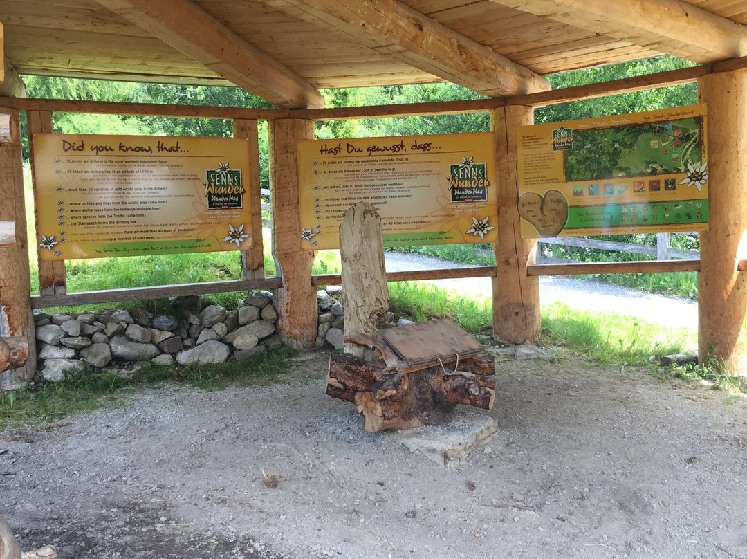 Senn's Wonder Walking Trail-圣安东阿尔山必去景点