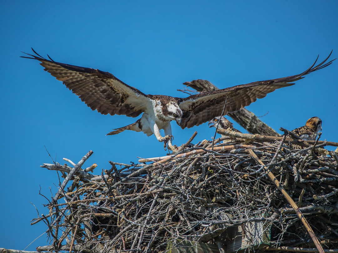 Marine Nature Study Area-Oceanside必去景点