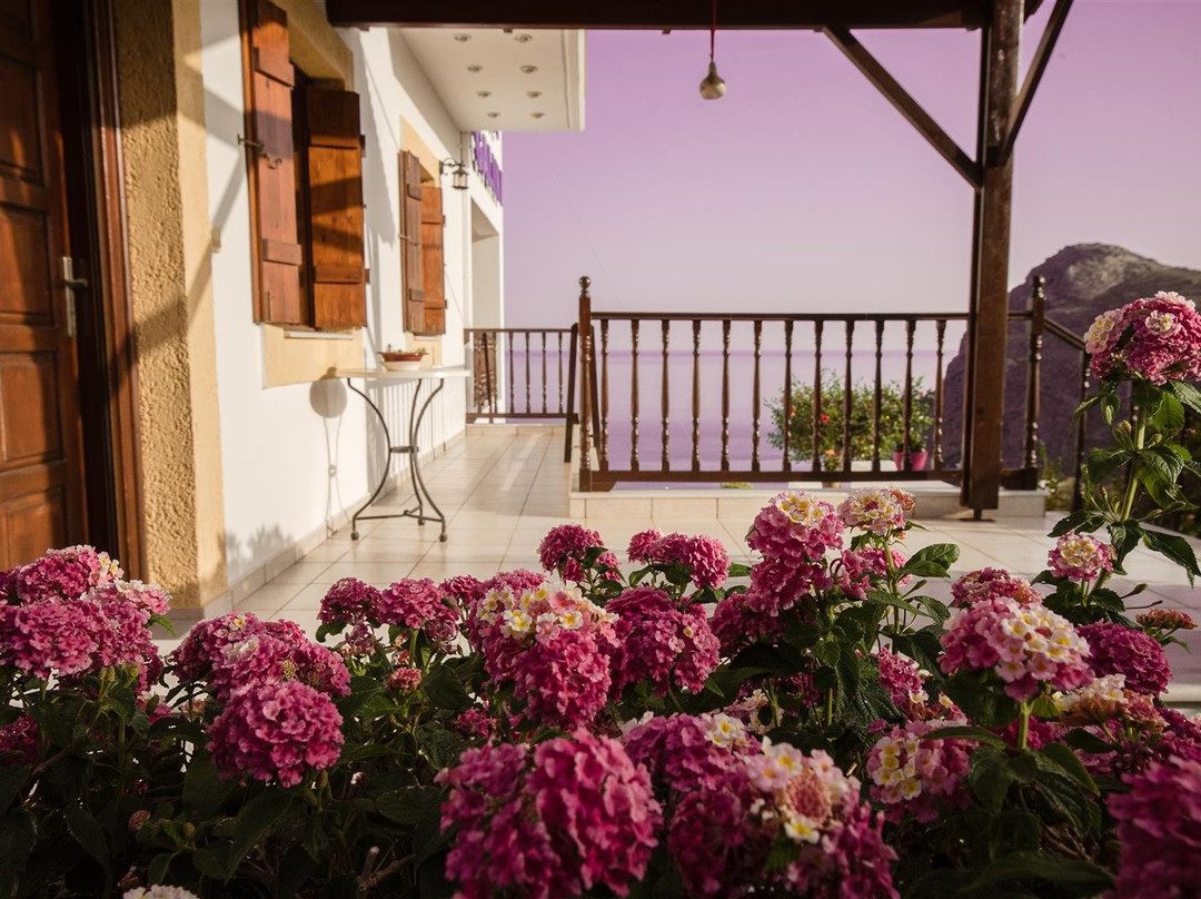 Galini Studios Lentas主图