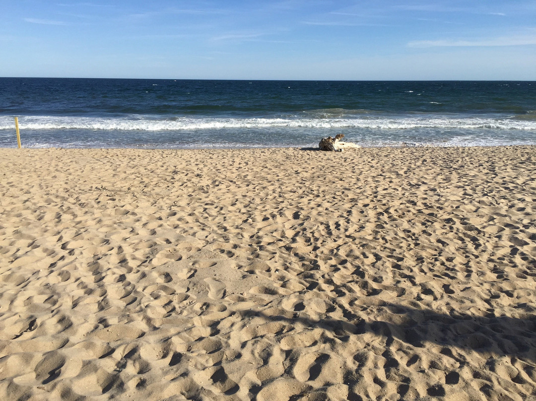 Breezeway Boutique Hotel主图