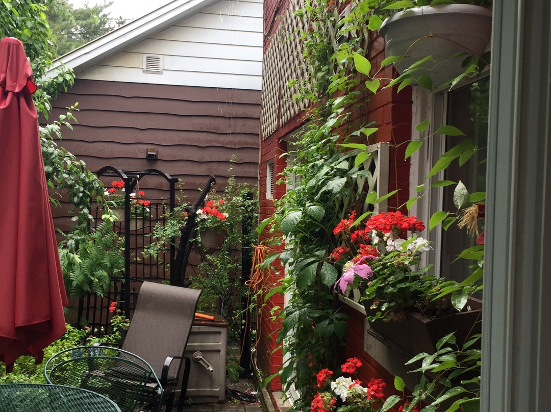 Oasis du Vieux Longueuil主图