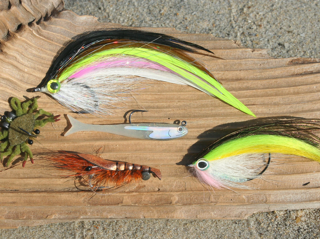 Bay Fly Fishing景点图片