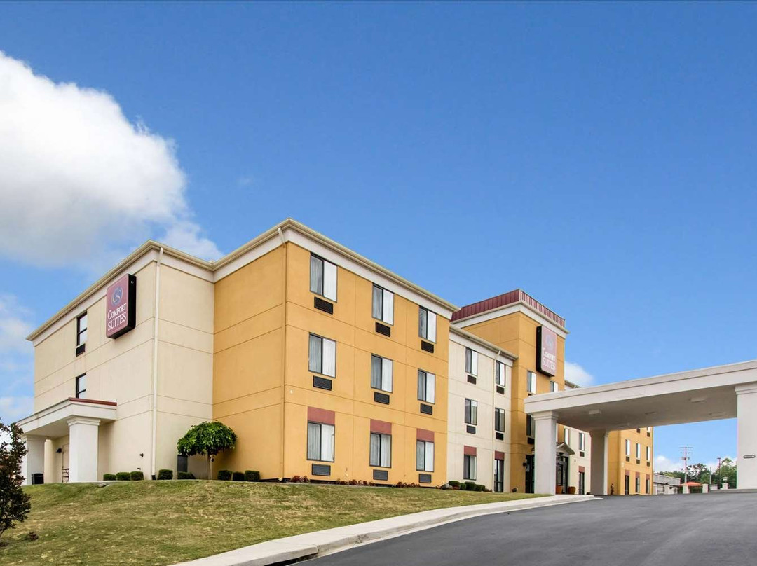 Comfort Suites Cullman I-65 Exit 310主图