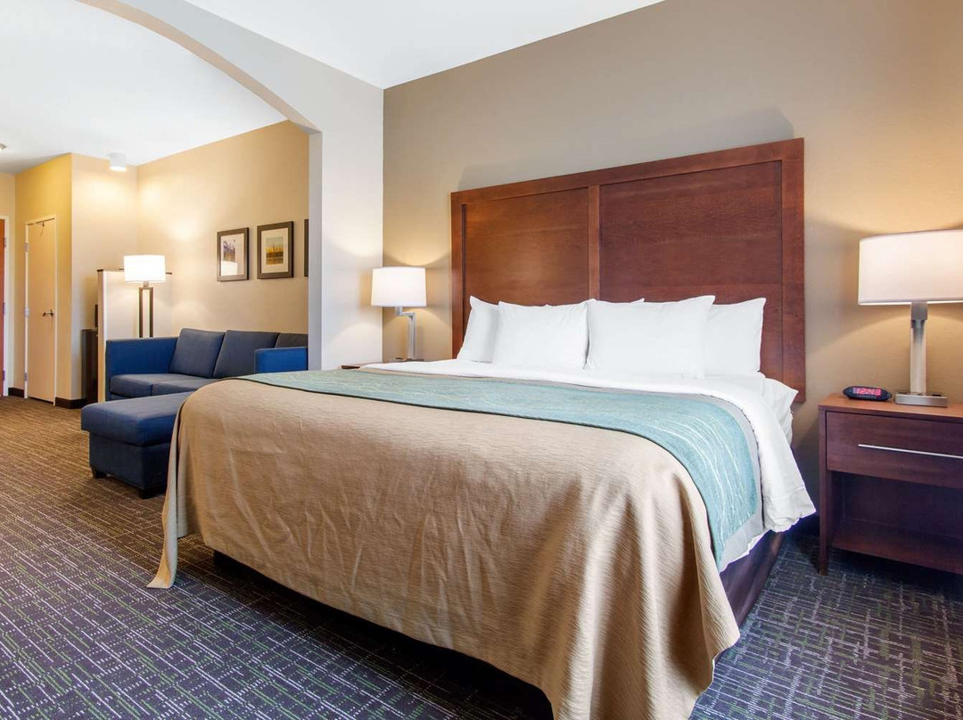 Comfort Inn & Suites Norman Near University主图