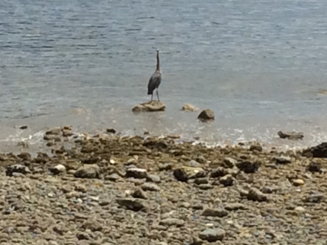 Secret Beach B&B Suites主图