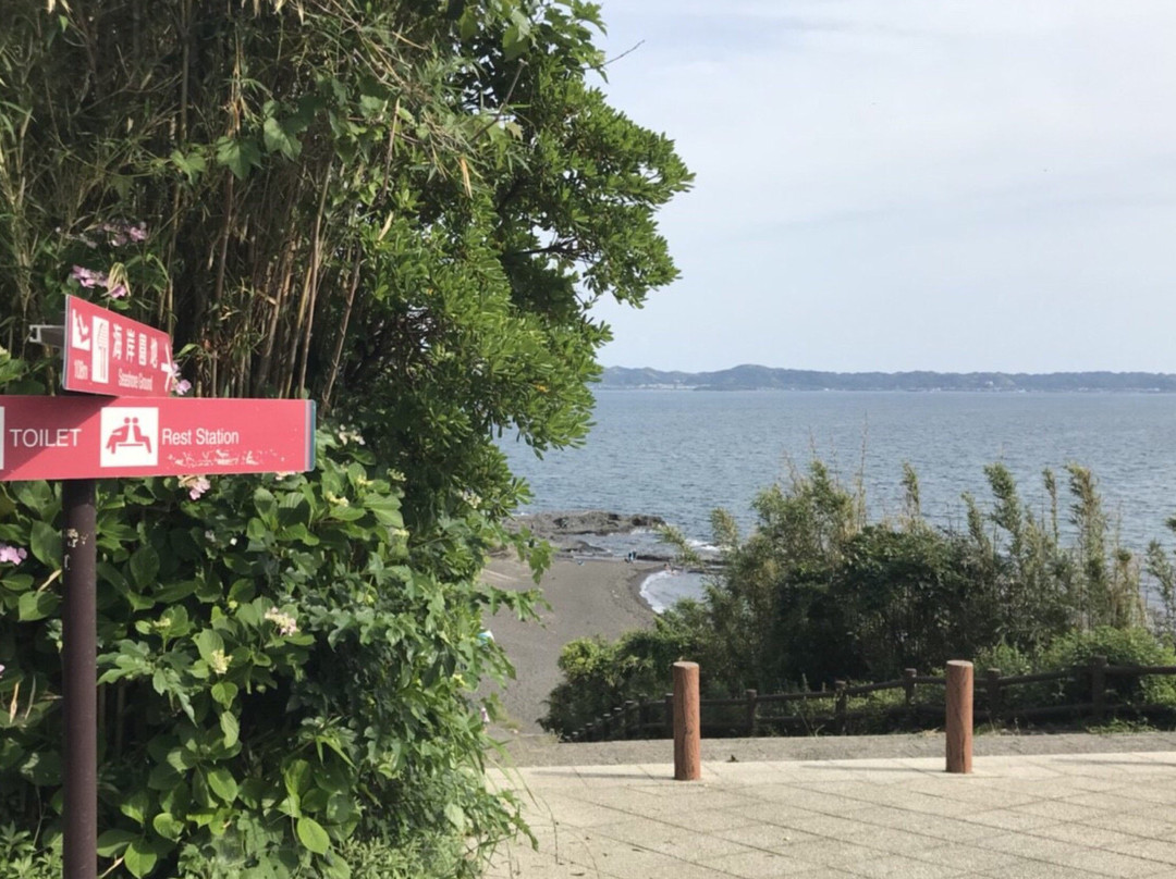 Taibusamisaki Nature Park-南房总市必去景点