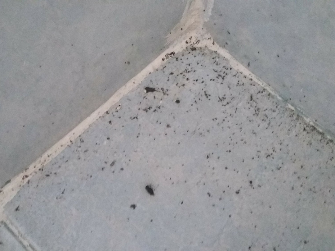 City Of Springs Hotel主图