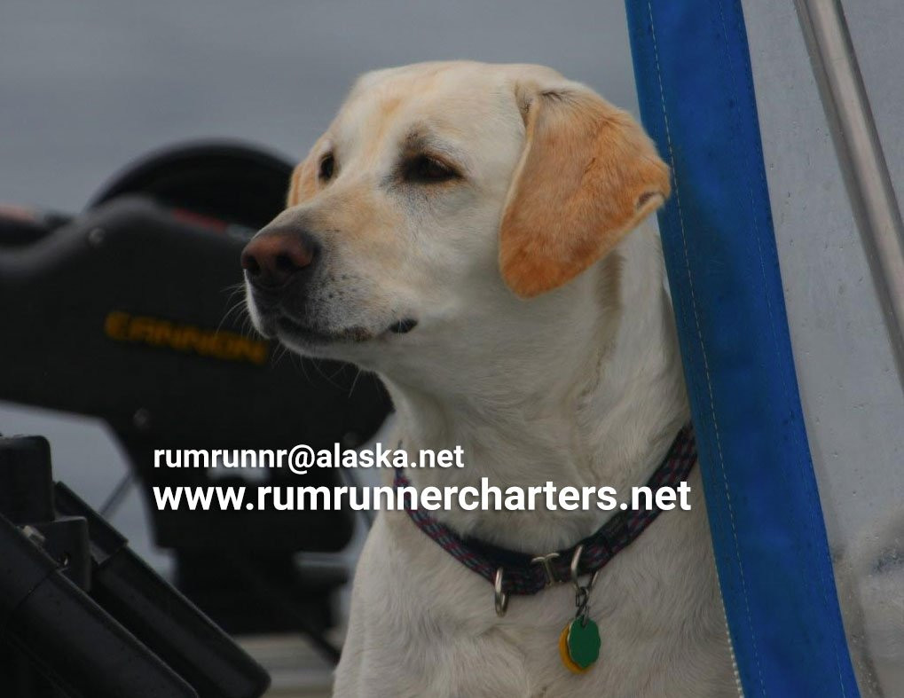 Rum Runner Charters-朱诺必去景点