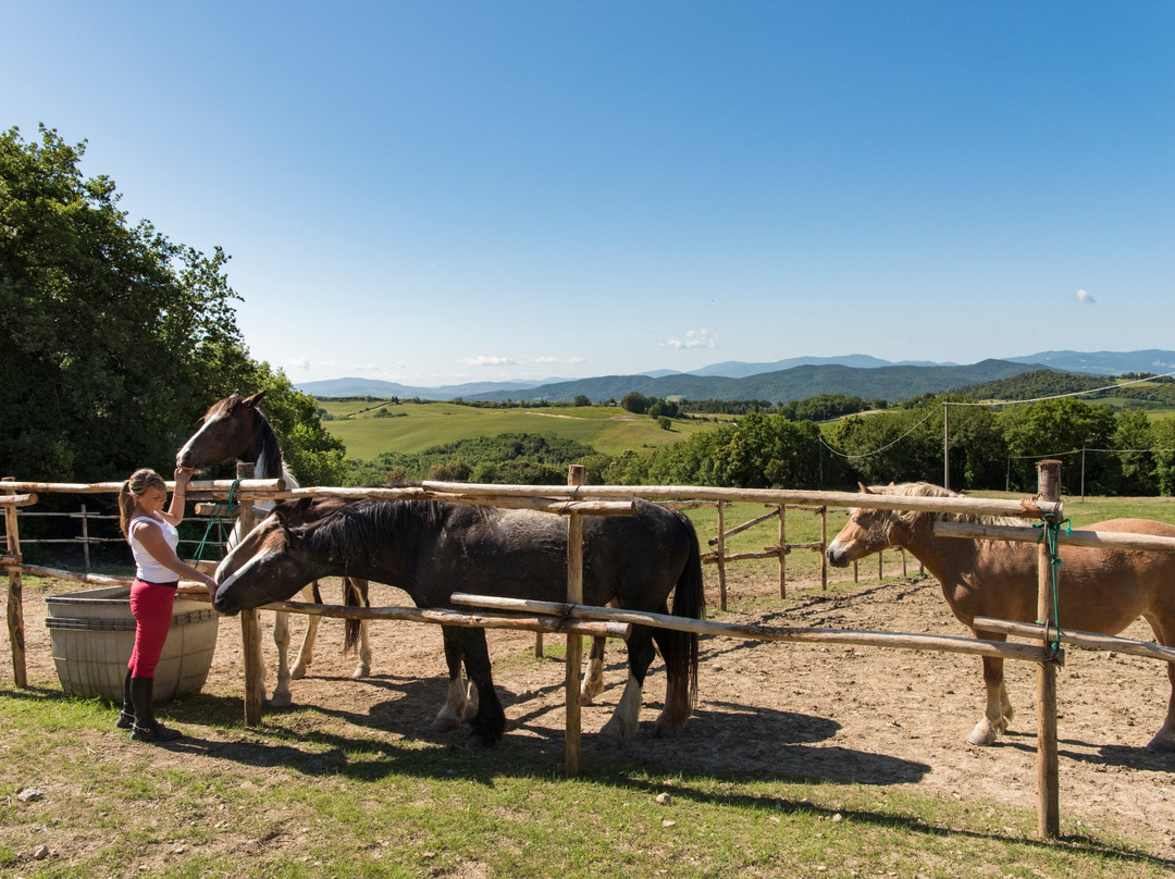 Borgo Pignano Horseback Riding景点图片