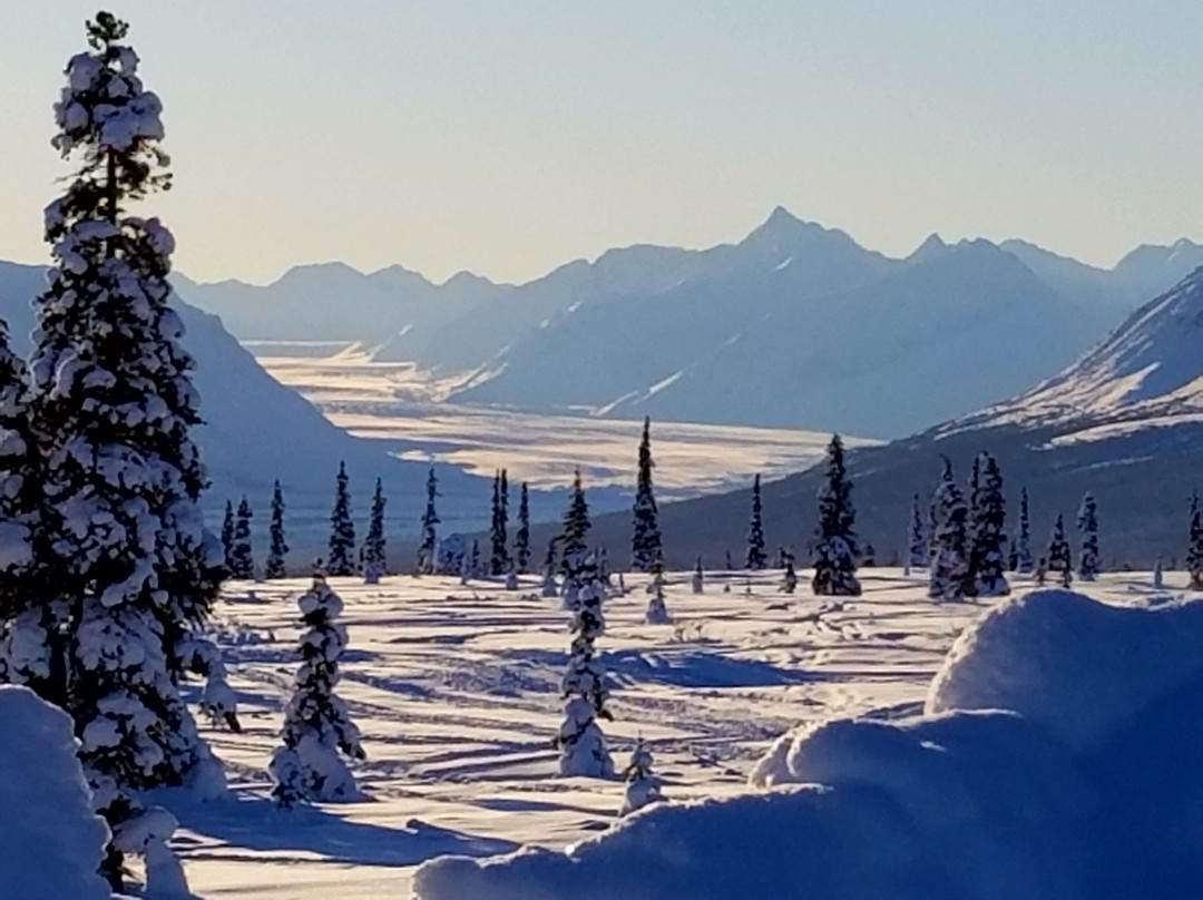 格伦纳伦酒店住宿-Antler's Rest Bed and Breakfast