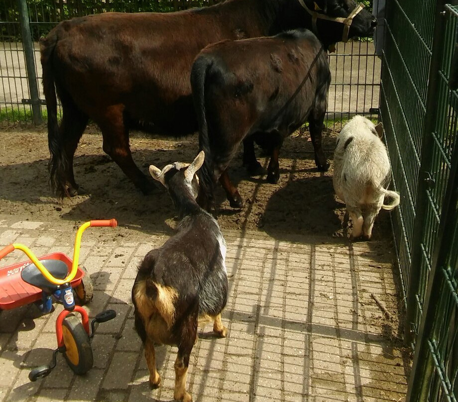 Kinderboerderij Otterspoor-马尔森必去景点