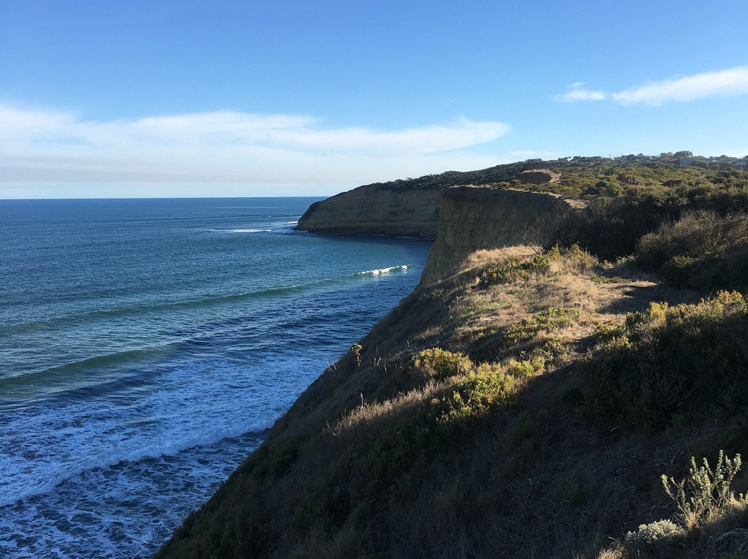 Bird Rock Lookout-Jan Juc必去景点