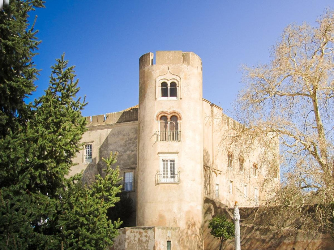Castelo de Alvito景点图片
