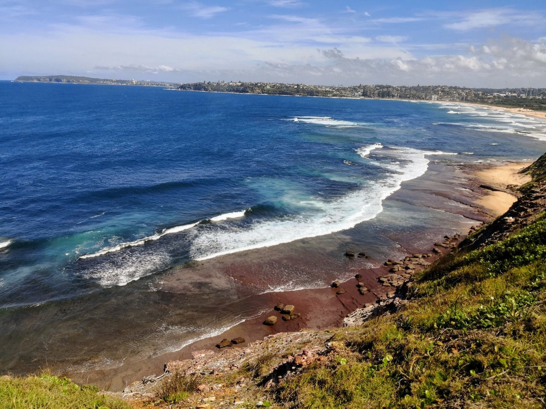 Collaroy Beach旅游攻略图片