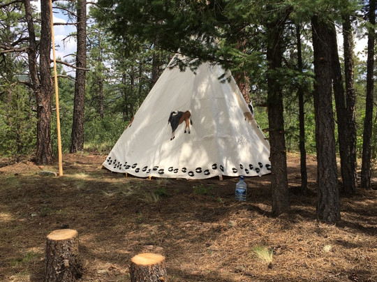 Indigenous Roots-Weston必去景点