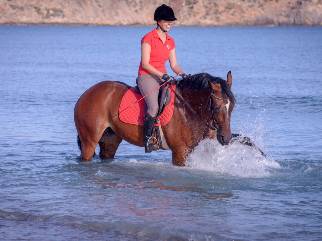 Riding Academy of Crete - Ippikos Riding Club景点图片