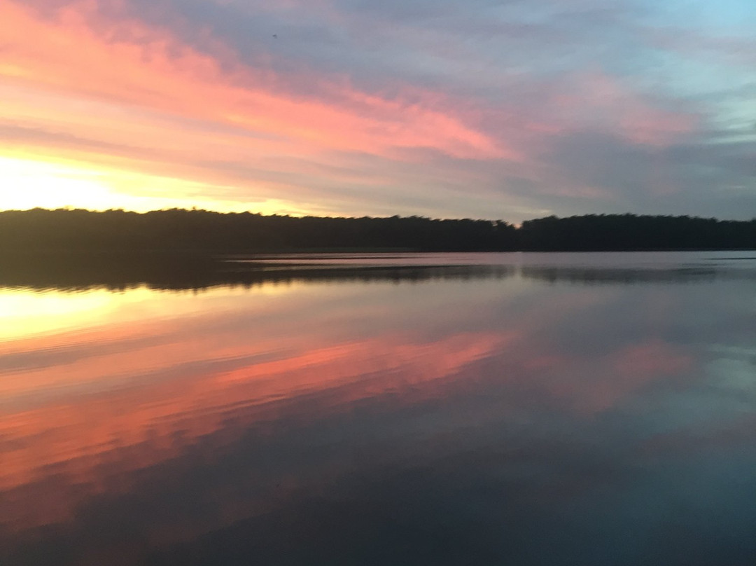 Borovnica Hotel主图