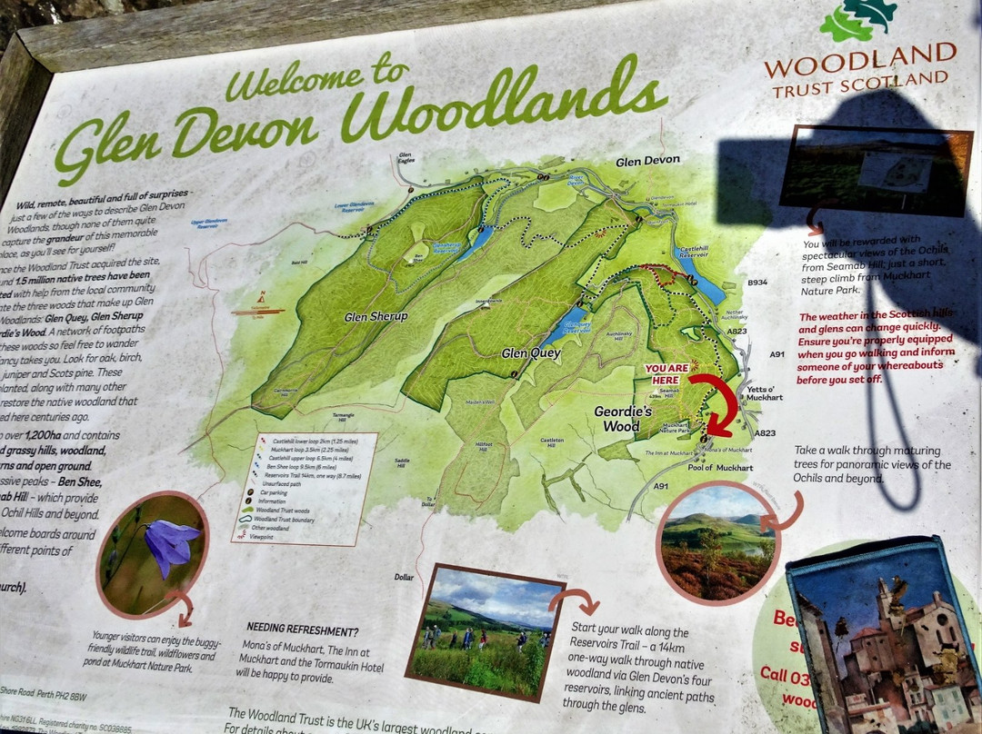 Glen Devon Woodlands景点图片