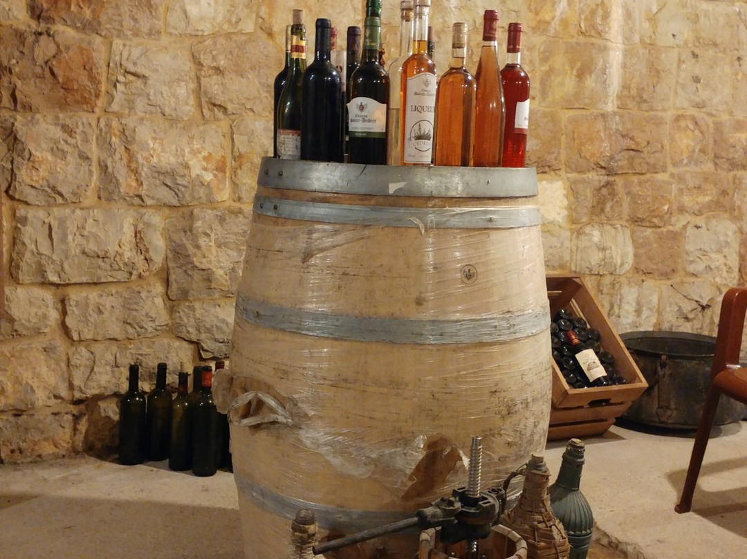 Chateau Sainte-Andree主图