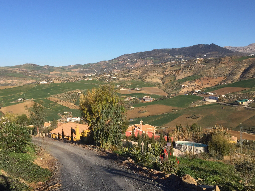 Bed and breakfast Nuestro Cielo主图