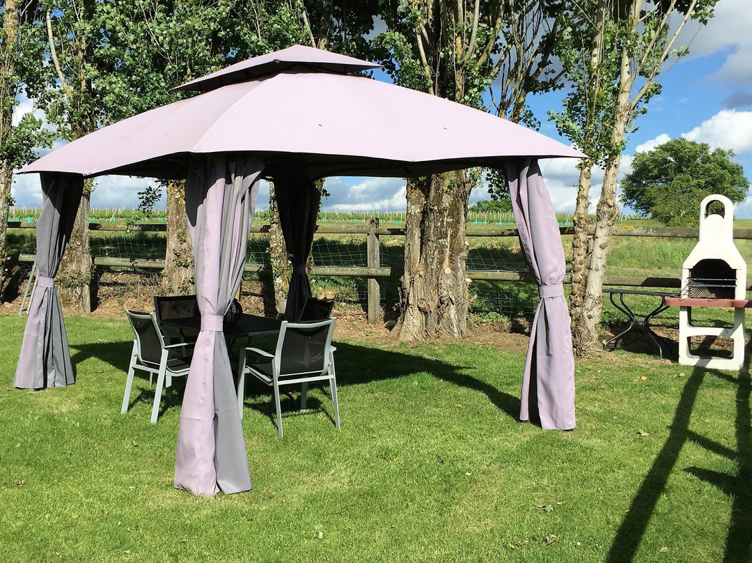 Chateau La Tour de Chollet主图