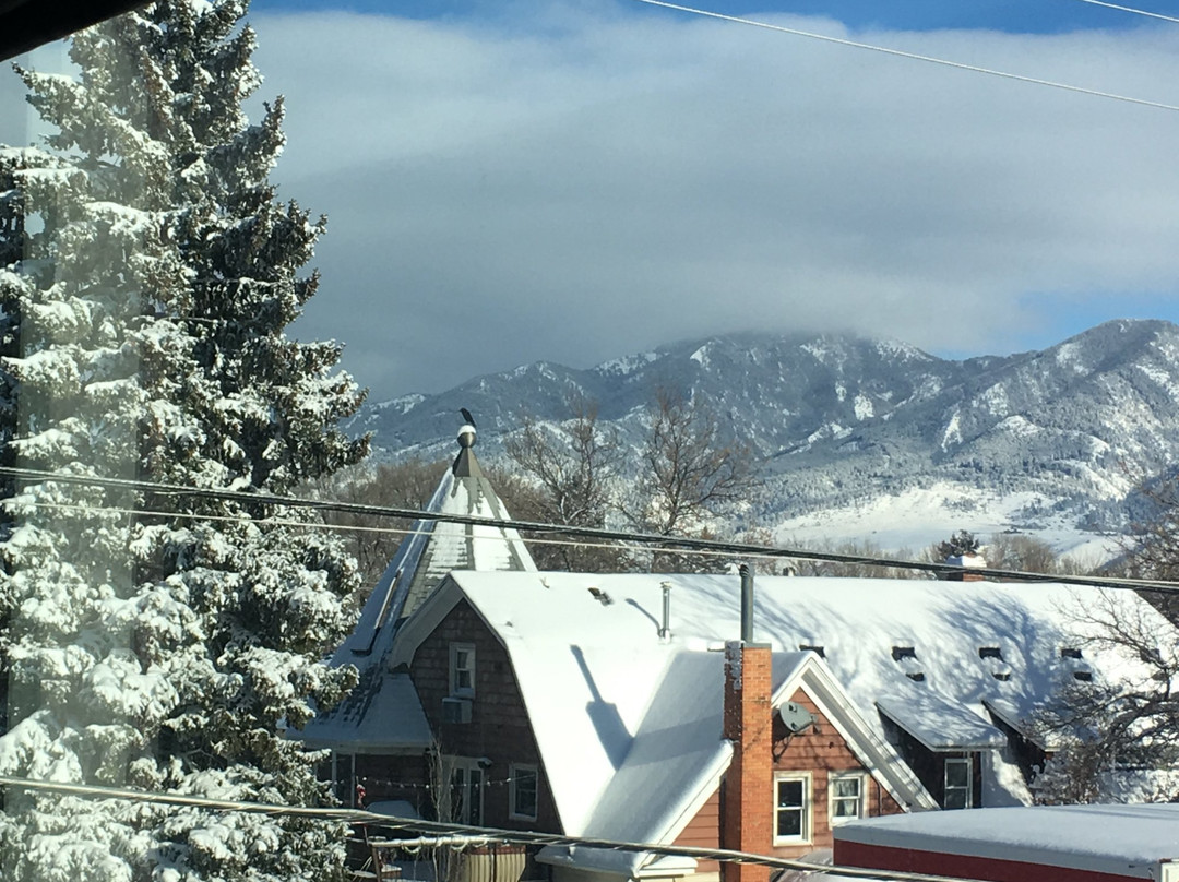 Element Bozeman主图