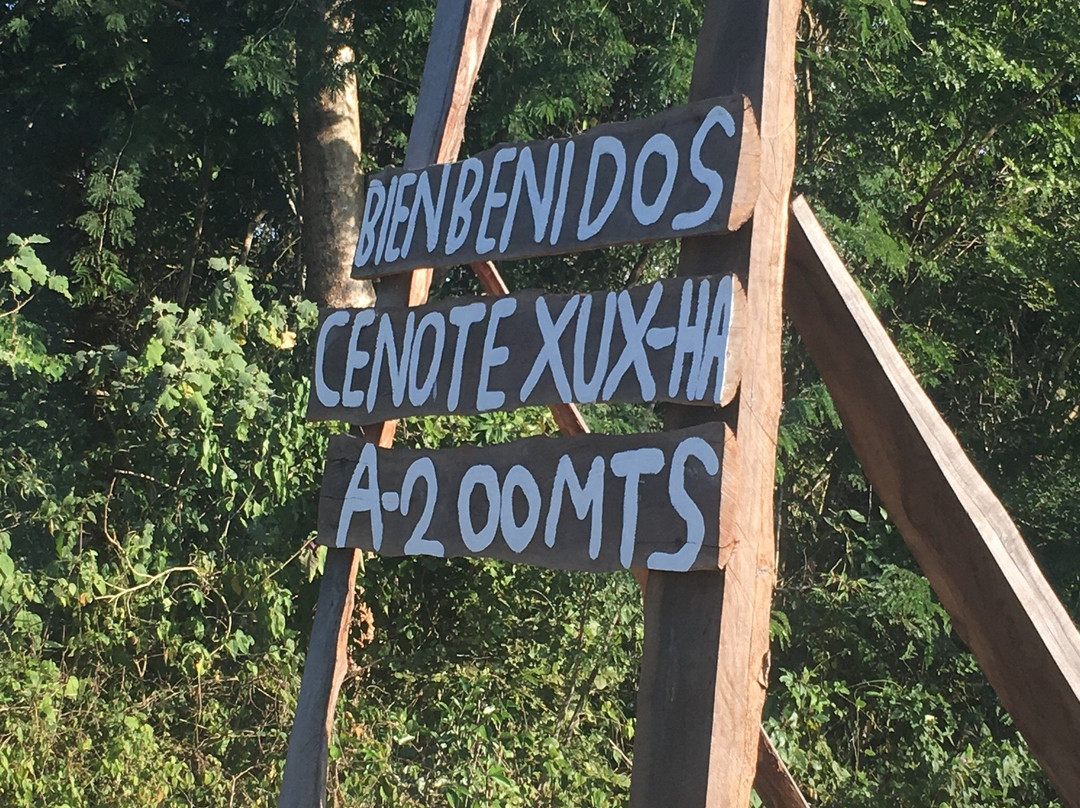 Cenote Xux Ha-巴利亚多利德必去景点