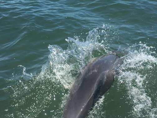 Stag Watersports-曼杜拉必去景点