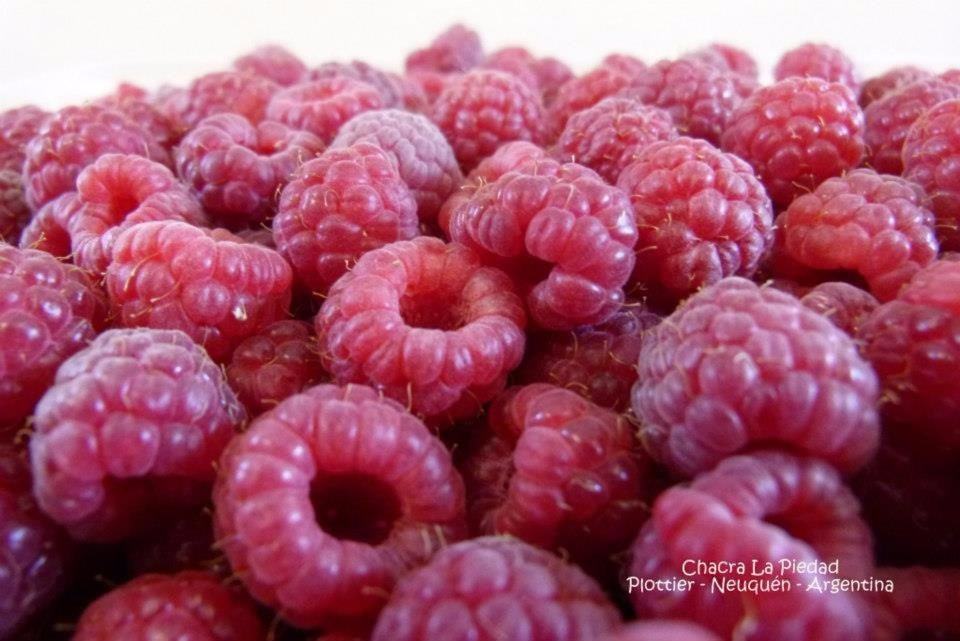 Chacra La Piedad-Plottier必去景点