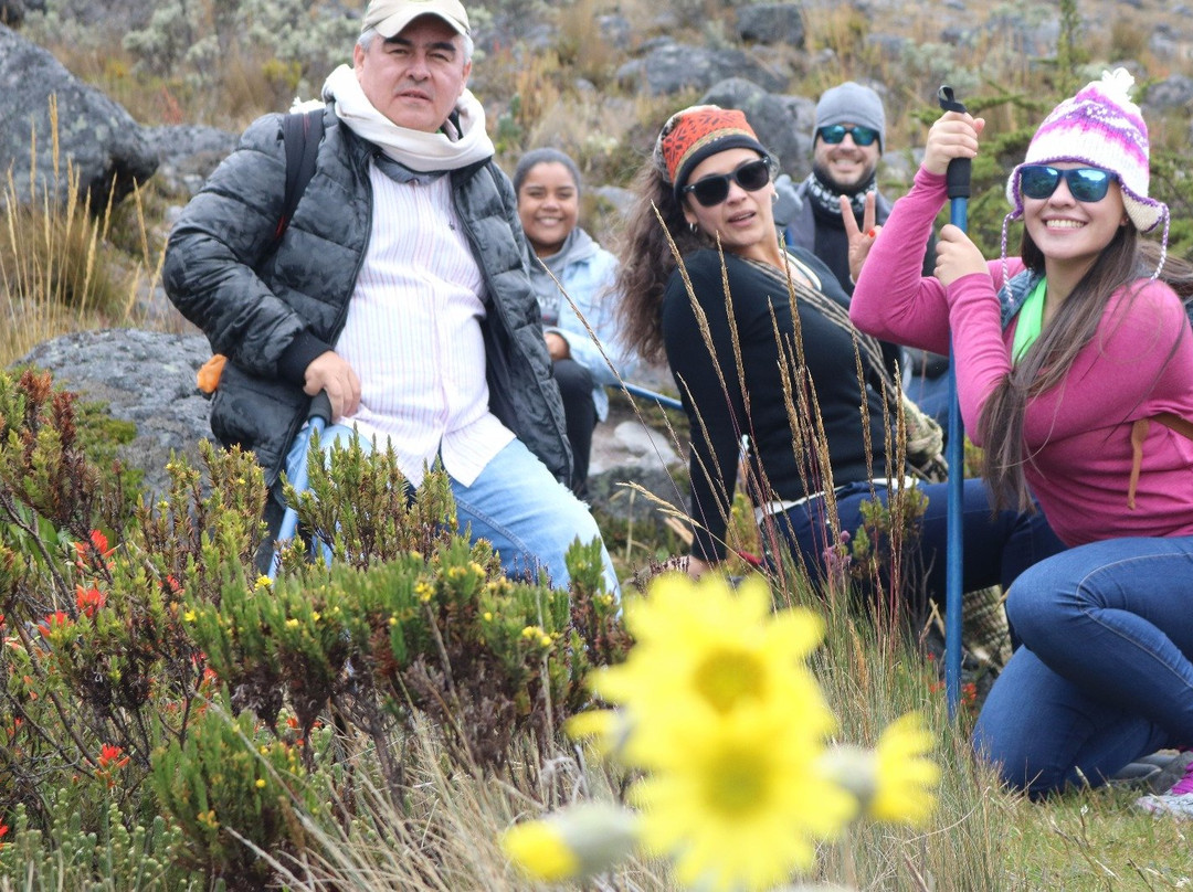 Turismo Gaia.-佩雷拉必去景点