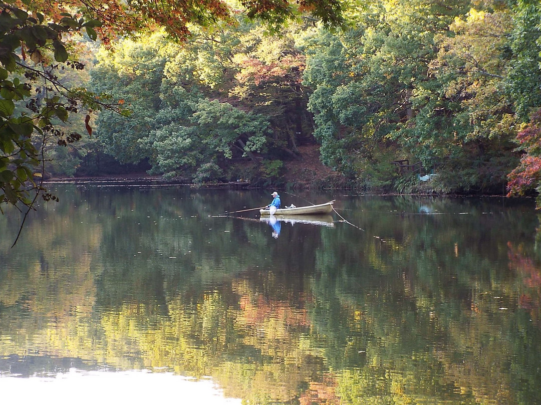Lake Shinsei-秦野市必去景点