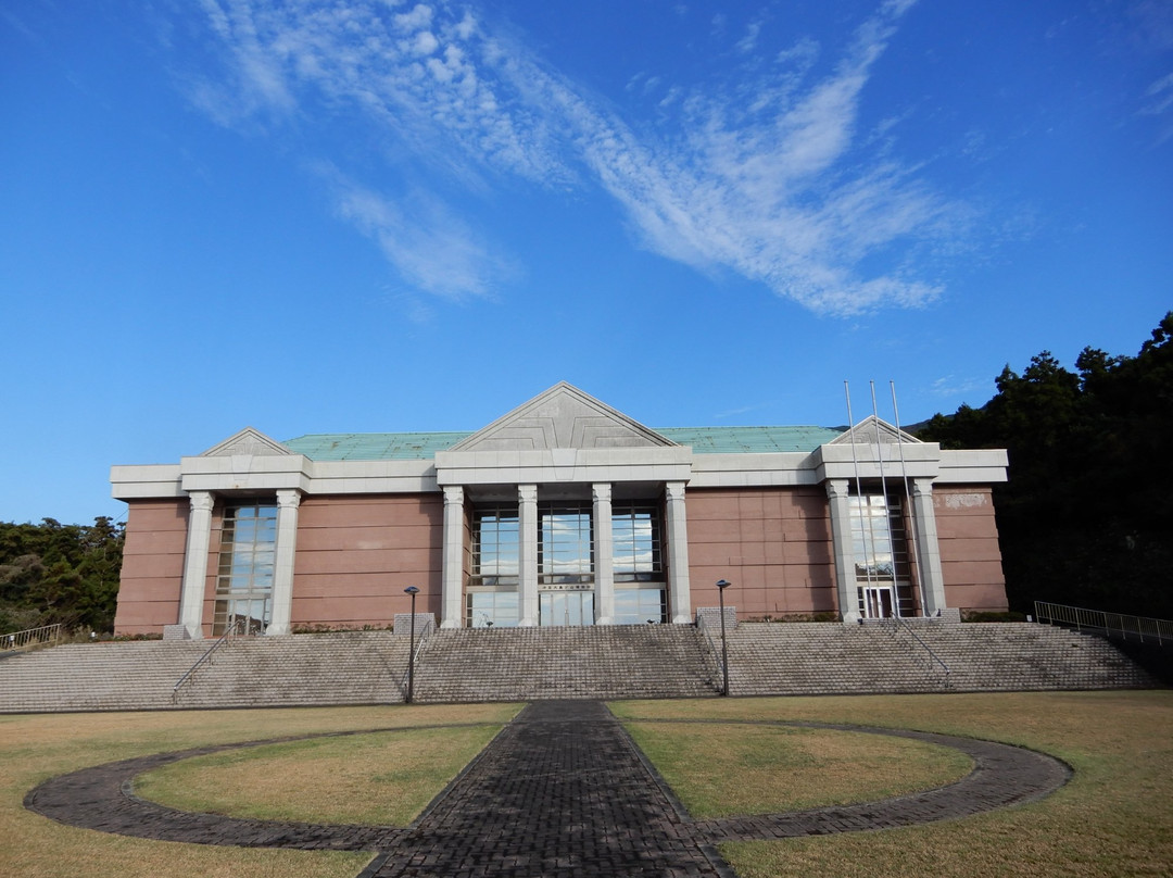 Izu Oshima Volcano Museum景点图片