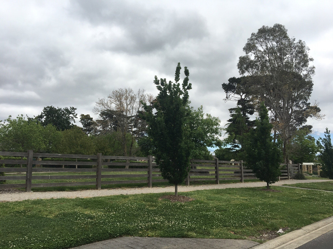 Kennels Lane Playground景点图片