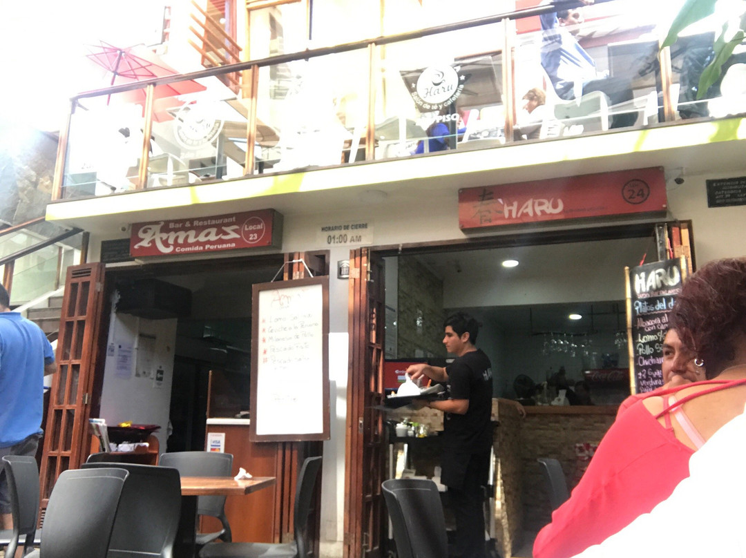 Boulevard Vereda Bolognesi-阿里卡必去景点