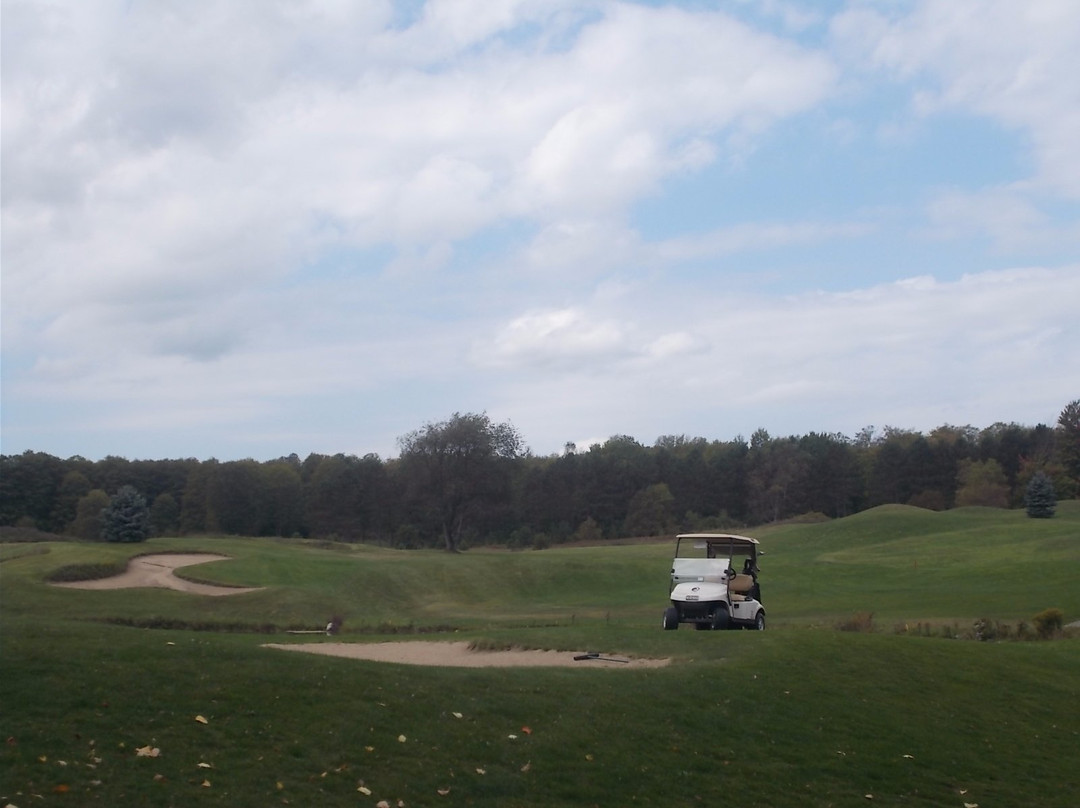 Black Bear Golf Club景点图片