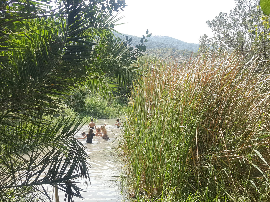 Alroi's Spring-Kiryat Tivon必去景点