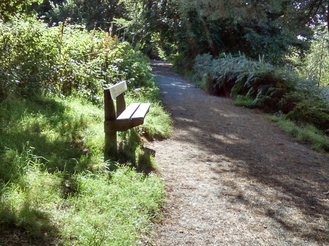 Redburn Country Park-霍利伍德必去景点