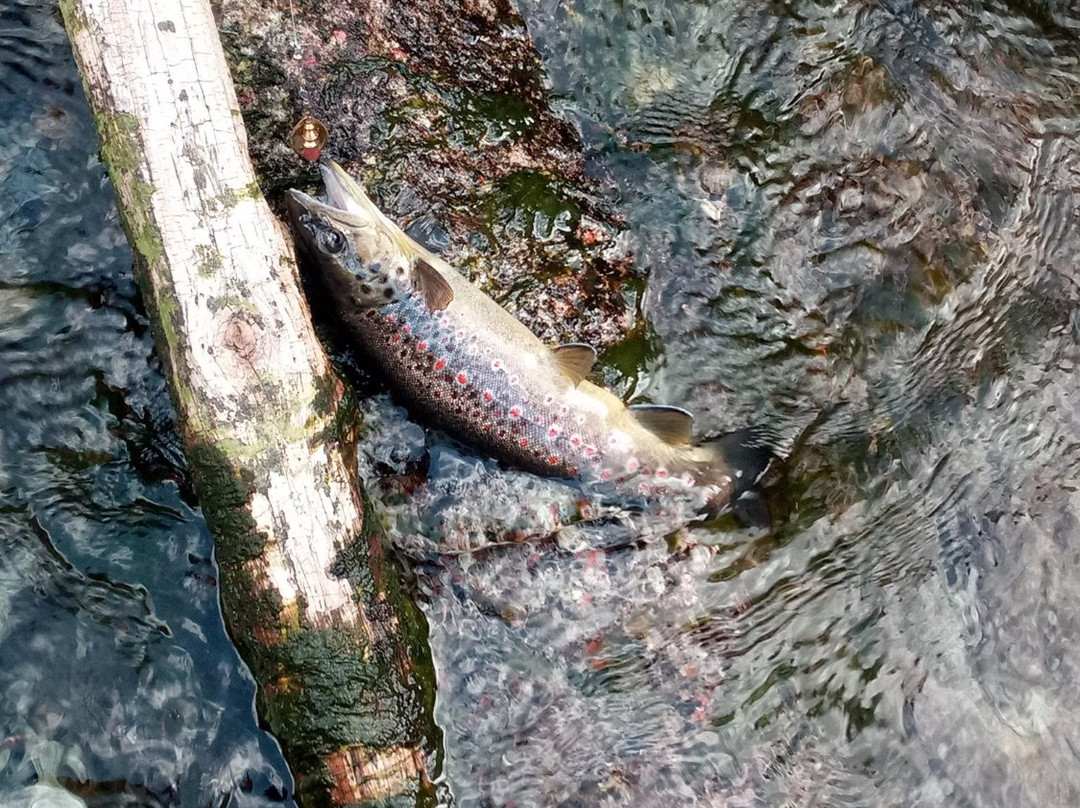 Riserva di Pesca Turistica del Torrente Forzo-Quandin必去景点