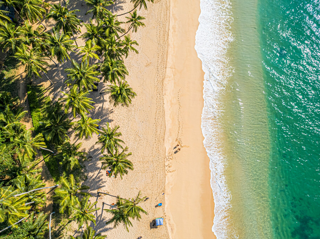 Mayavee Resort & Spa