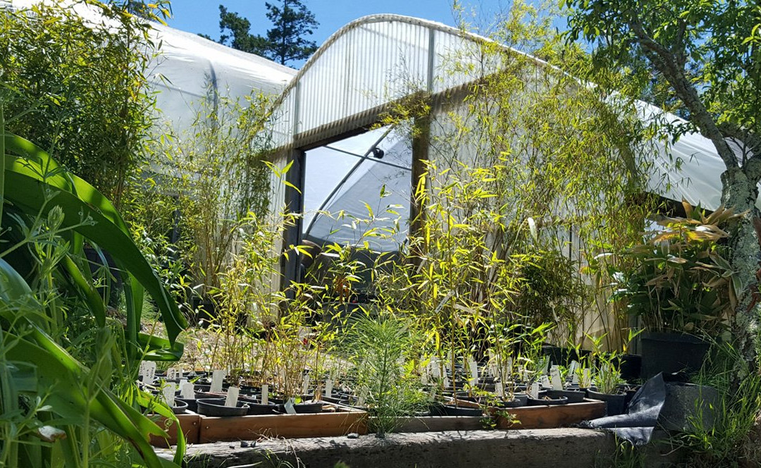 Bamboo Sourcery Nursery & Gardens-Sebastopol必去景点